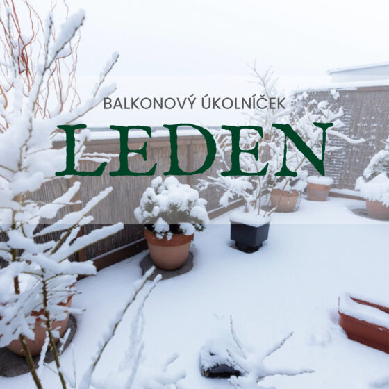 balkonový úkolníček LEDEN